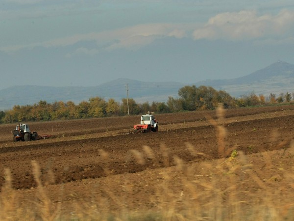 България е с най-голям ръст на селскостопанската продукция сред страните