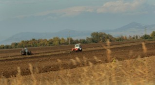 България е с най голям ръст на селскостопанската продукция сред страните