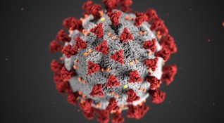 308 нови случаи на коронавирус са били регистрирани през последното