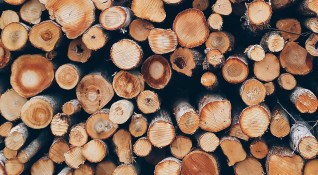 Доставките на дърва са на 85 процента Миналият месец е
