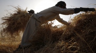 Войната дъждовете и икономическите трудности са намалили посевите от пшеница