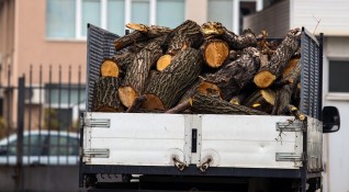 Преди зимния сезон на пазара с дърва за огрев има
