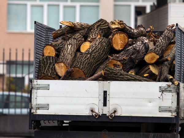 Правителството на Гърция забрани износа на дърва за огрев, съобщи