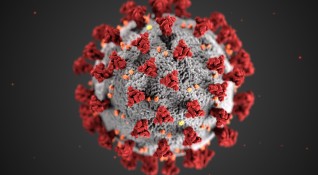 397 нови случая на коронавирус са били регистрирани през последното