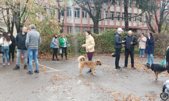 Протест пред Съдебната палата срещу насилника на кучето Мечо