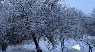 Снимка БГНЕСПървият за тази зима сняг валя тази нощ над