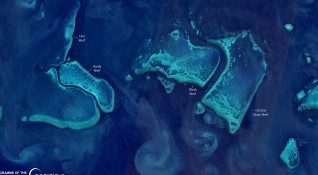 Австралийският Голям бариерен риф трябва да бъде добавен в списъка