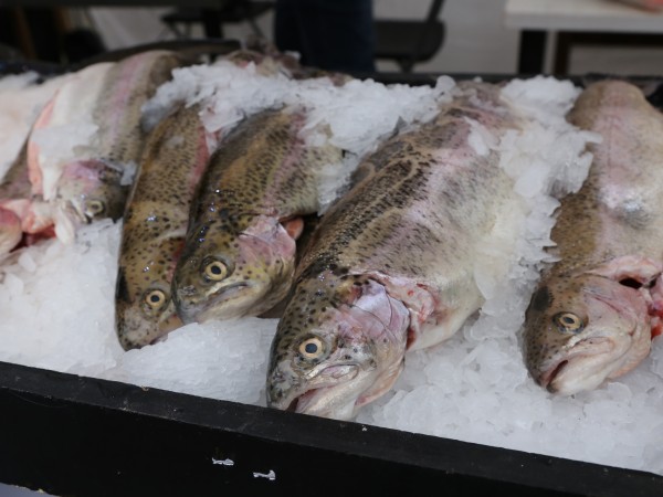 В 23% от изследваните риби от търговската мрежа има наднормено