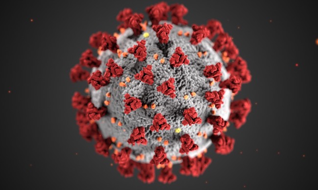 295 нови случая на коронавирус, трима души са починали 