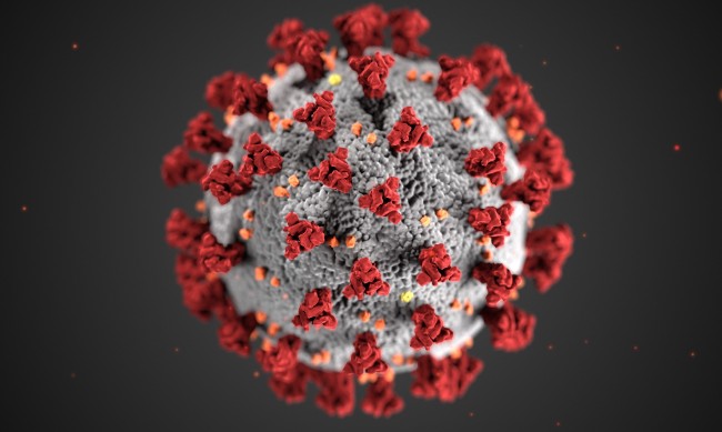 204 новите случая на коронавирус, един човек е починал