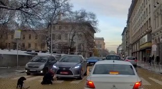 Дипломатическа кола блъсна майка с бебе на пешеходна пътека в