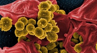 Във Великобритания починаха още три деца от бактериална инфекция причинявана