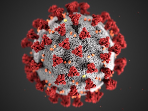 Двеста осемдесет и четири нови случая на коронавирус са били