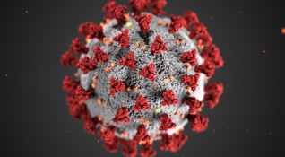 Двеста осемдесет и четири нови случая на коронавирус са били