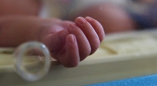 Текат проверки по случая с разменените бебета в болница Шейново