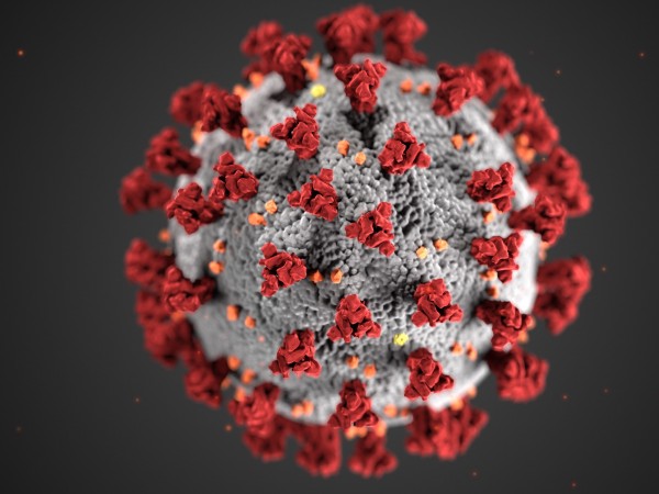 Снимка: 173 нови случая на коронавирус, 4 души са починали