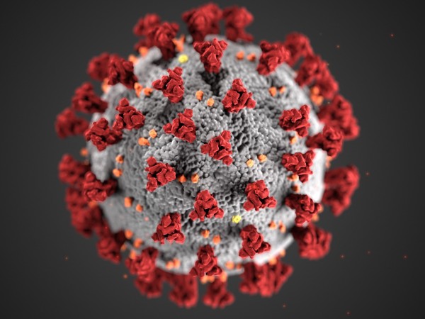Снимка: 36 нови случая на коронавирус, един пациент е починал