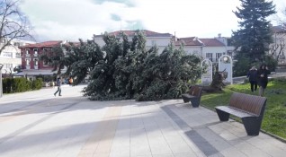 Във Враца вчера вилня ураганен вятър и нанесе сериозни щети