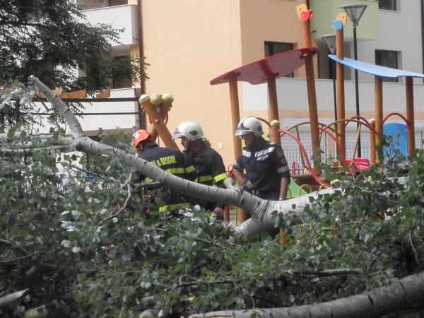 Голямо дърво падна върху детска площадка в столичния квартал Иван