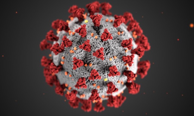 60 нови случая на коронавирус, двама души са починали