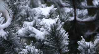Сняг ще вали днес на повече места в Северна България