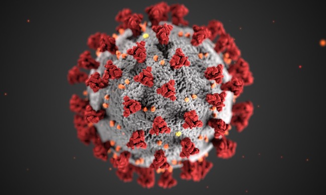91 случая на коронавирус, петима души са починали