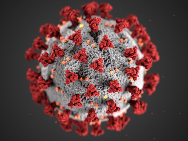 Снимка: 91 случая на коронавирус, петима души са починали