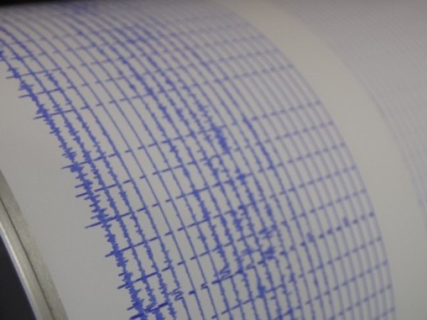Земетресение с магнитуд от 3.2 по скалата на Рихтер стресна
