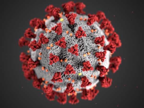 Снимка: 57 нови случая на с коронавирус, трима души са починали