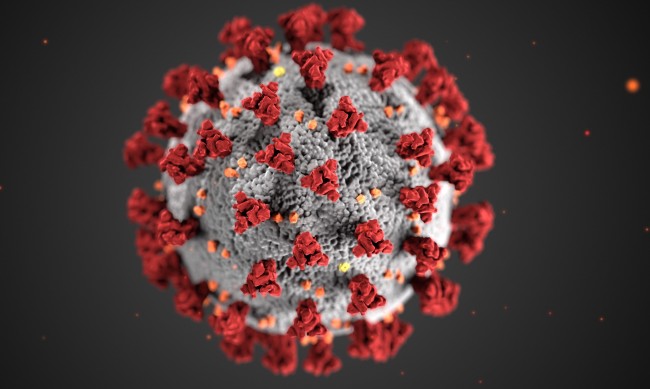 47 нови случая на коронавирус, починал е един човек