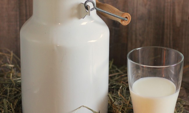 Срив на изкупната цена на млякото, фермерите заплашени от фалити 