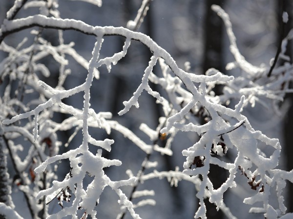 Най-ниската температура за тази зима беше измерена в Румъния. Минус