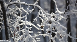 Най ниската температура за тази зима беше измерена в Румъния Минус