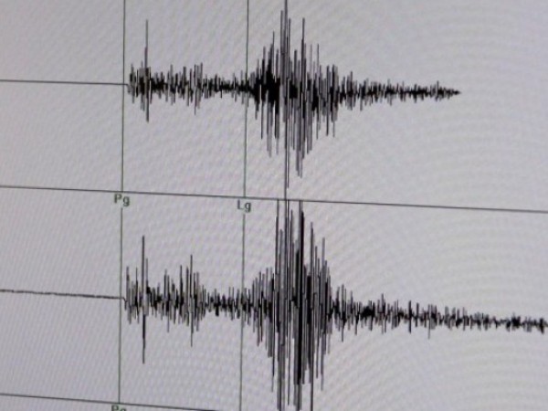 Ново земетресение с магнитуд 4,6 по скалата на Рихтер е