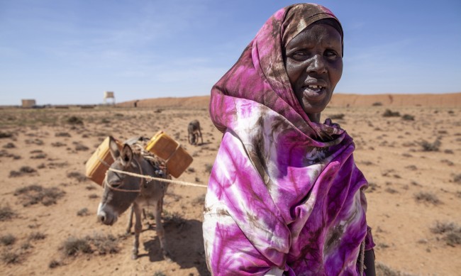 ООН: Само за година са загинали 43 хил. души от сушата в Сомалия