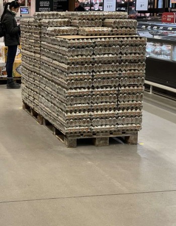 2,5 млн. яйца от Украйна мистериозно изчезнаха от пазара
