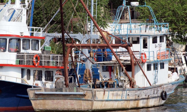 Наши кораби са задържани в Румъния за незаконен улов на акула 
