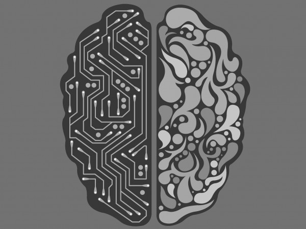 Ще остави ли AI 300 млн. души без работа? 2 0000564555 fbh
