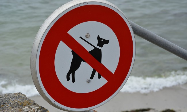 Забраниха домашни любимци по плажа във Варна