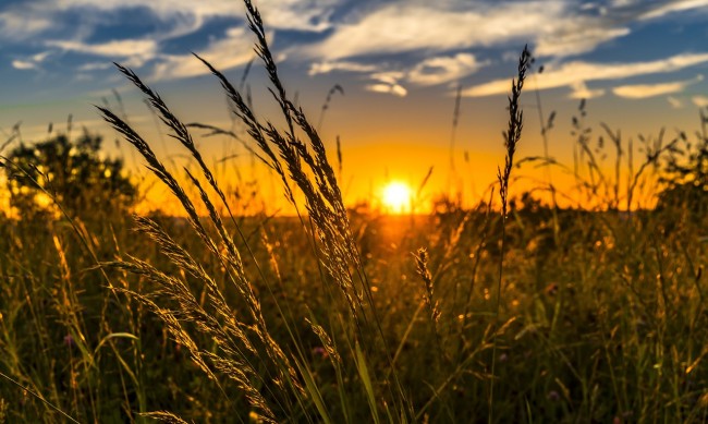 Слънчево и горещо и днес, градусите до 36°