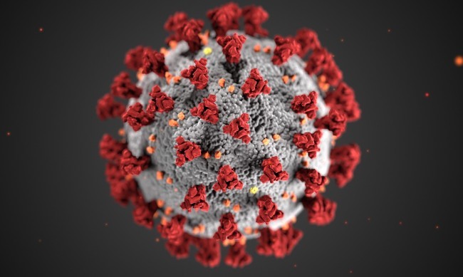 2 234 са активните случаи на коронавирус