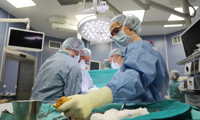 Нова чернодробна трансплантация във ВМА