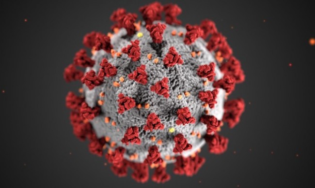 198 нови случая на коронавирус, двама души са починали