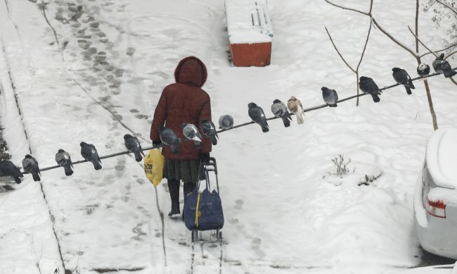 В Украйна 500 населени места са без ток, потреблението е рекордно