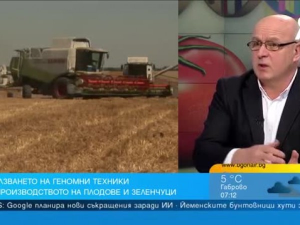 Специалист: У нас по-лесно е отглеждането на канабис, отколкото на ГМО растения