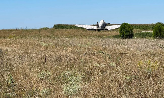 Двама българи се издирват за самолета беглец, кацнал на Божурище 