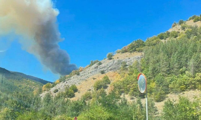 Локализиран е пожарът край Сатовча