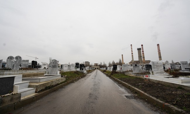 Засаждат люляци за облагородяване на Централните софийски гробища
