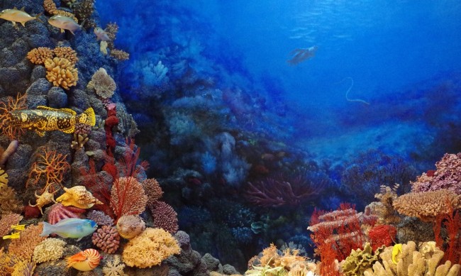 Големият бариерен риф преминава през най-тежкия си период на избелване