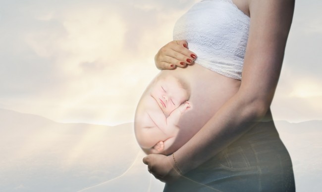 Учени поставиха под съмнение факти за ембриона 